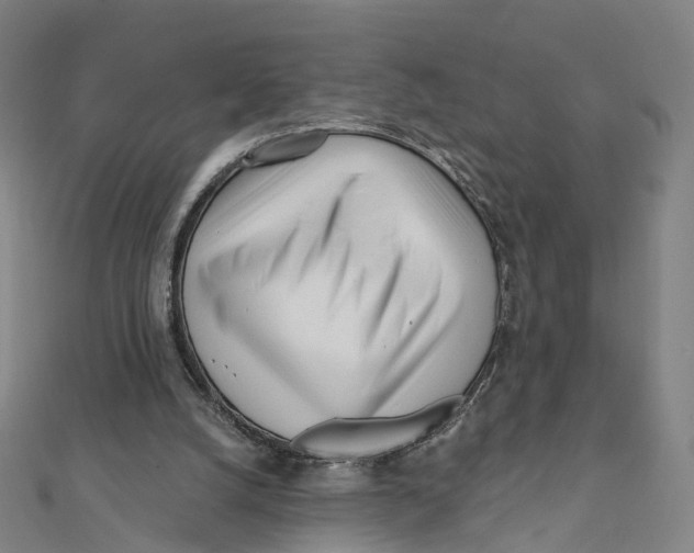 X0000112080056200909011052