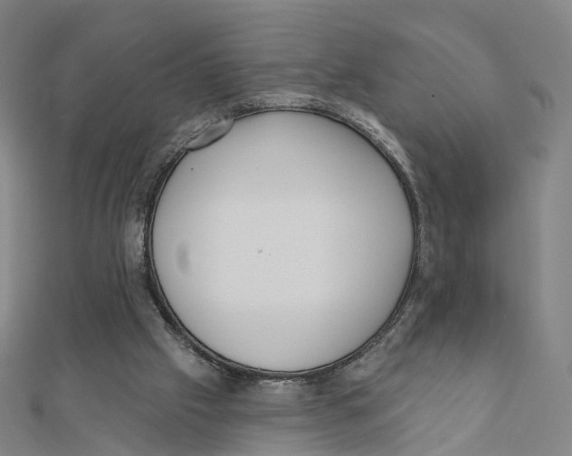 X0000112080057200909011052
