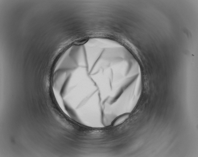 X0000112080059200909011052