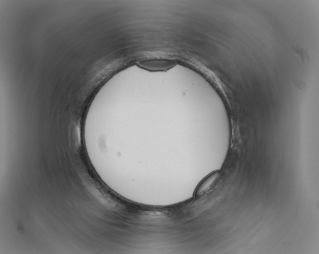 X0000112080061200909011052
