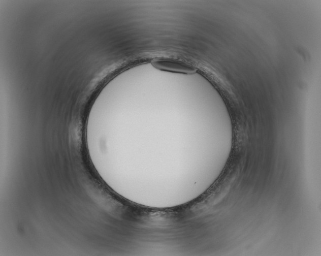 X0000112080064200909011052