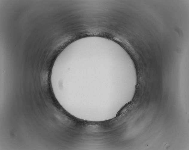 X0000112080066200909011052