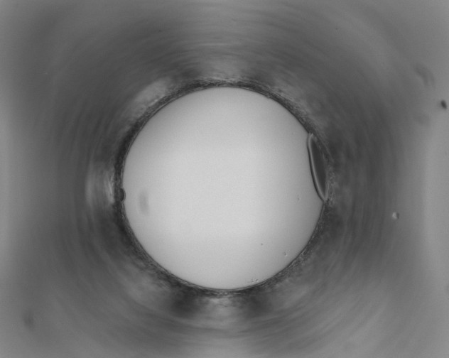 X0000112080068200909011052