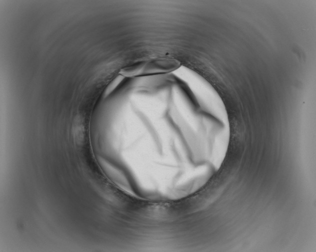 X0000112080080200909011052