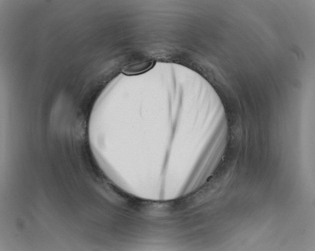 X0000112080081200909011052