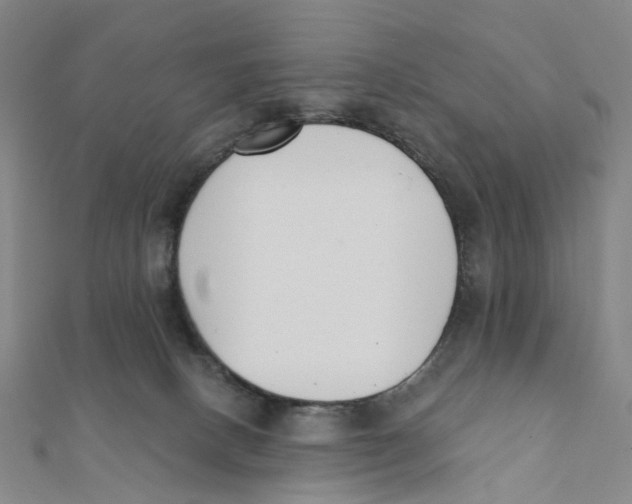 X0000112080082200909011052