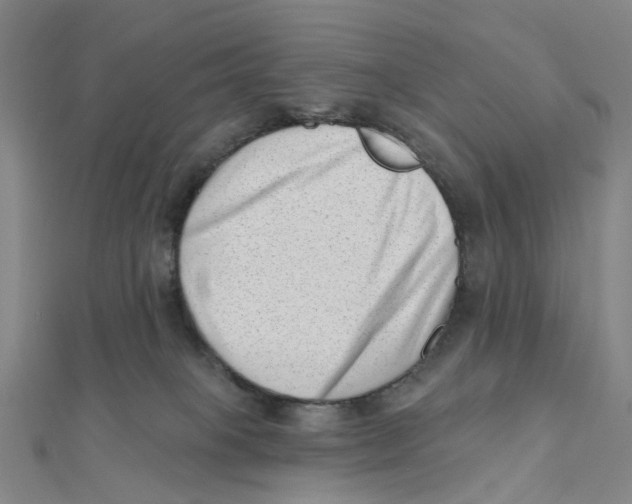 X0000112080085200909011053