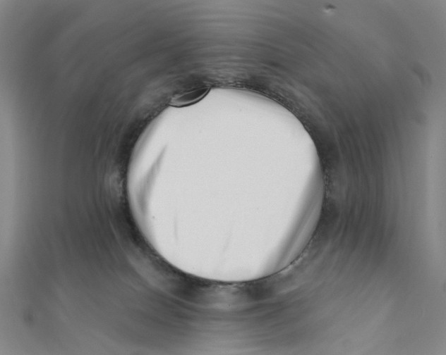 X0000112080086200909011053