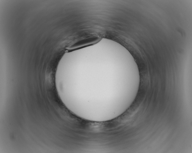 X0000112080088200909011053