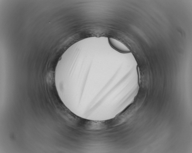 X0000112080093200909011053