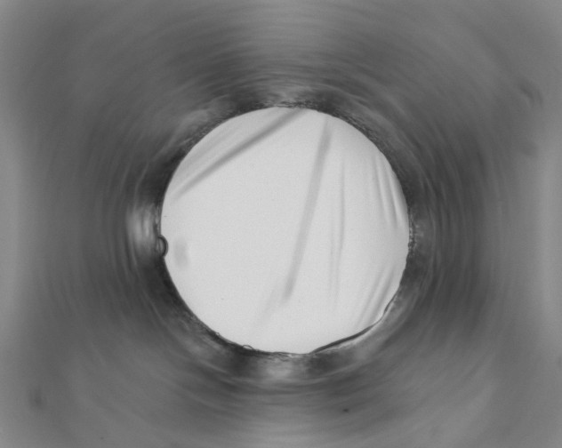 X0000112080094200909011053