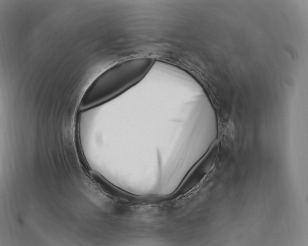 X0000112080100200909011052