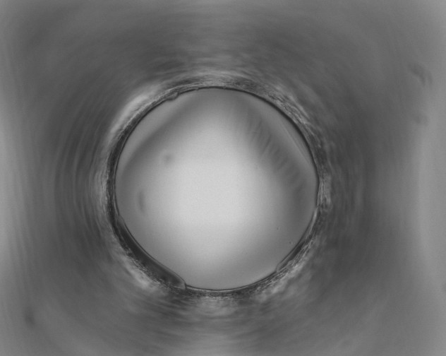 X0000112080101200909011052
