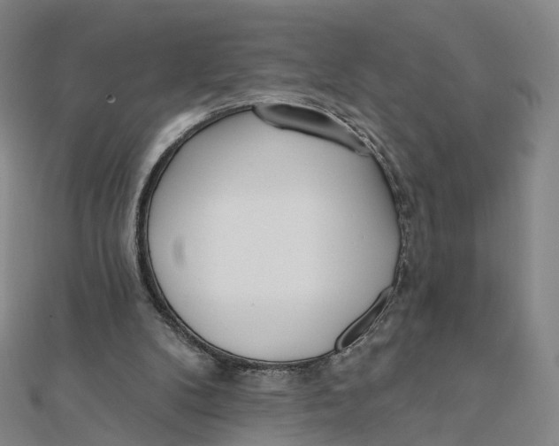 X0000112080104200909011052