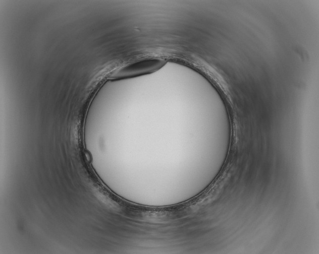 X0000112080105200909011052