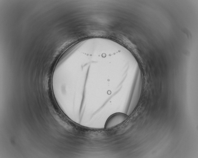 X0000112080106200909011052