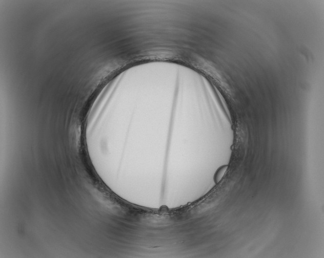 X0000112080110200909011052