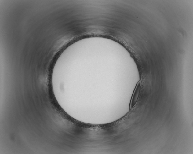 X0000112080112200909011052