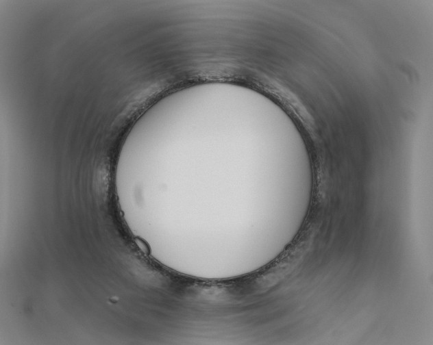 X0000112080113200909011052