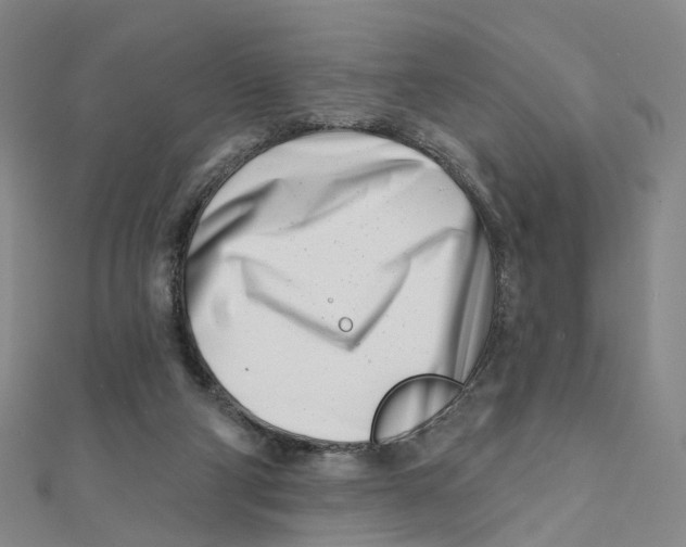 X0000112080114200909011052