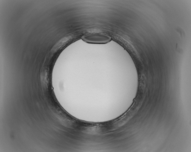 X0000112080116200909011052