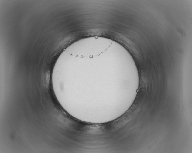 X0000112080118200909011052