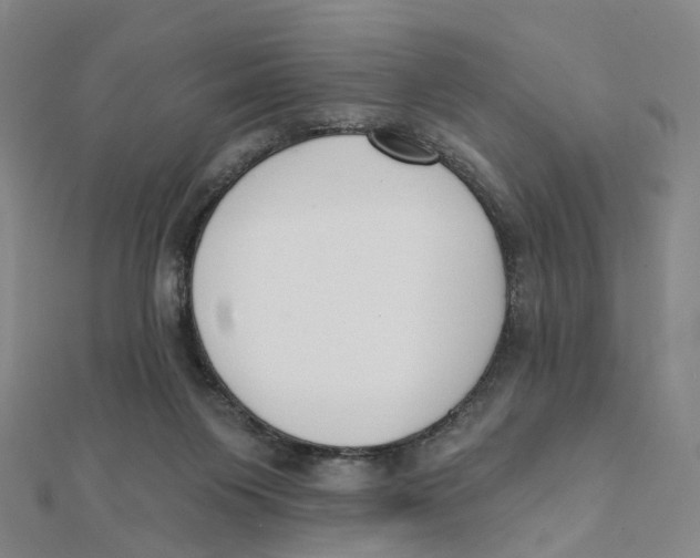 X0000112080119200909011052