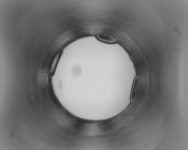 X0000112080120200909011052