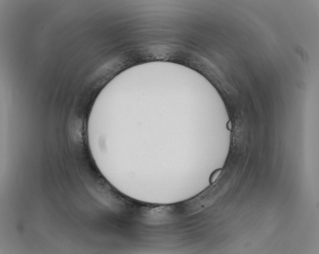 X0000112080122200909011052