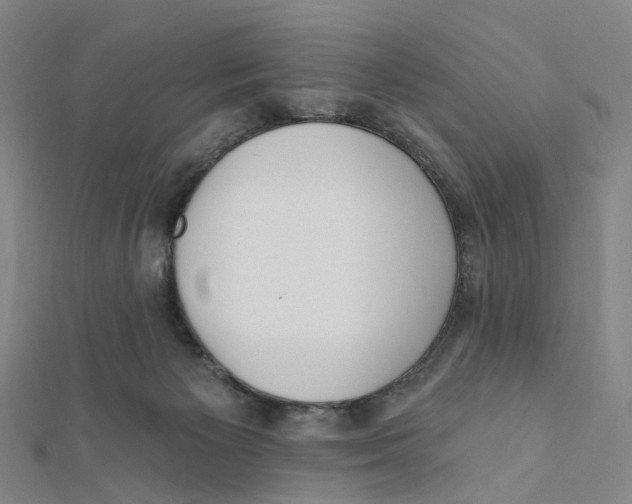 X0000112080125200909011052