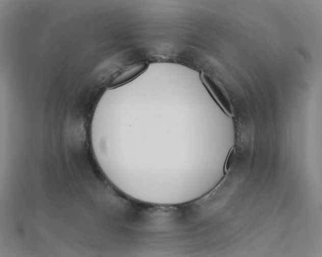 X0000112080128200909011051