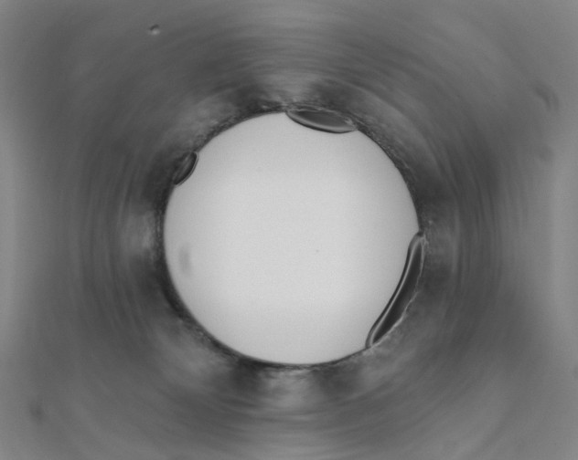 X0000112080132200909011051