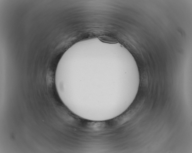 X0000112080135200909011051