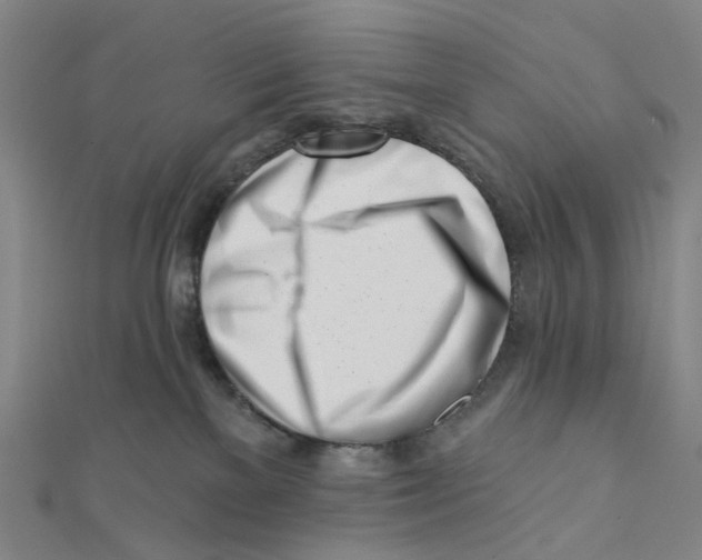 X0000112080137200909011051