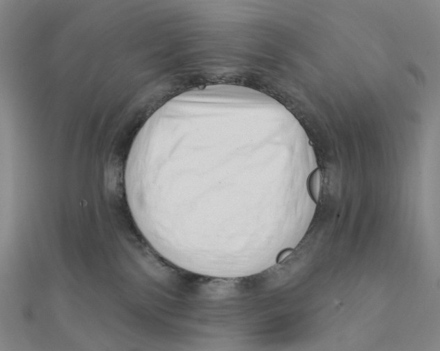 X0000112080138200909011051
