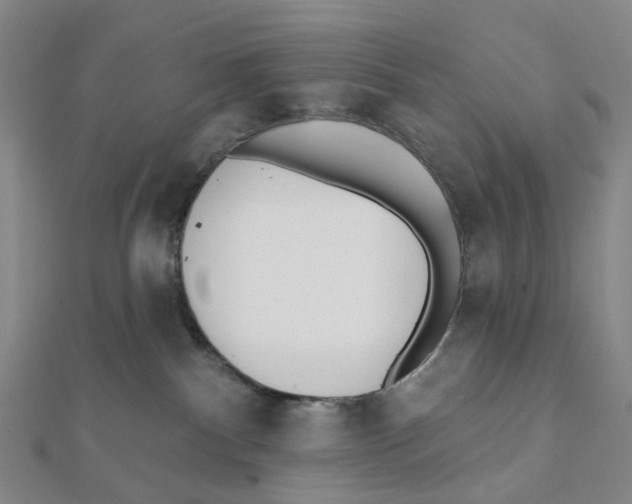 X0000112080140200909011051