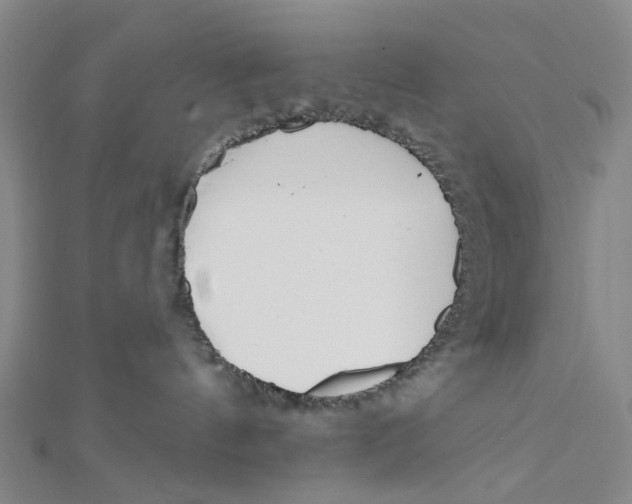 X0000112080144200909011051
