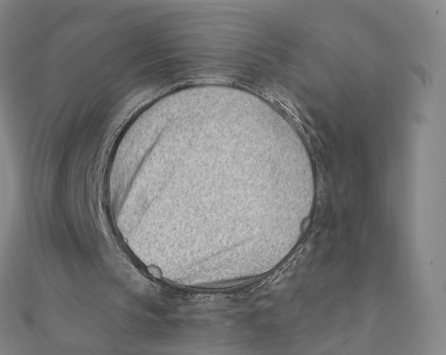 X0000112080145200909011051