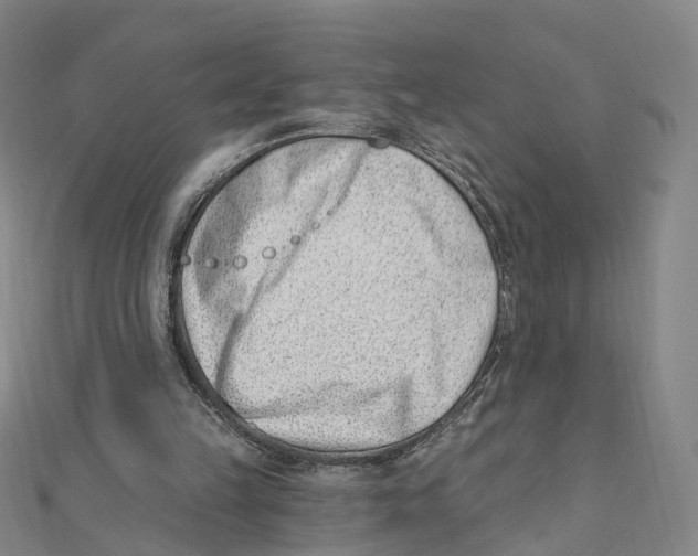 X0000112080149200909011051
