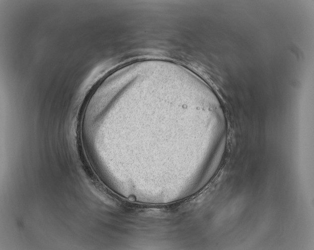 X0000112080151200909011051