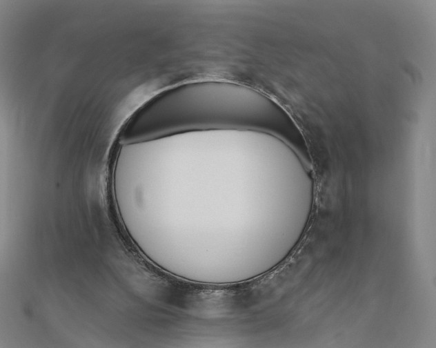 X0000112080152200909011051