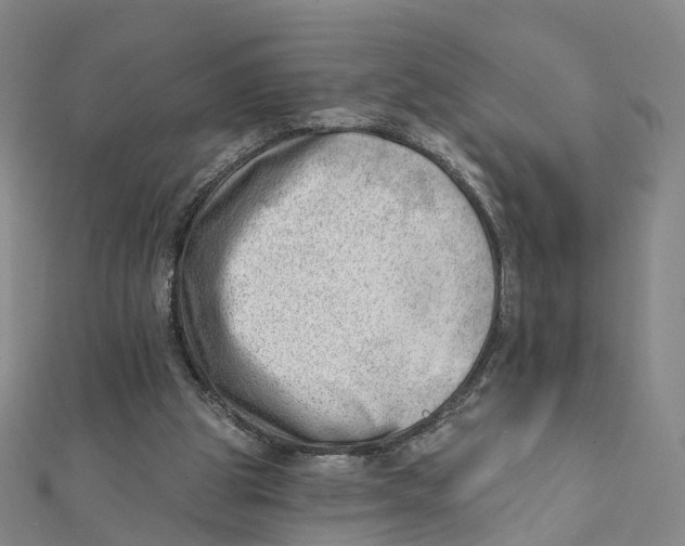 X0000112080153200909011051