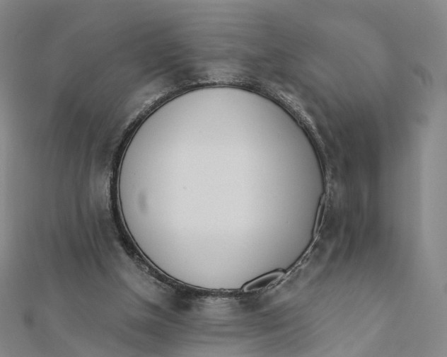 X0000112080154200909011051