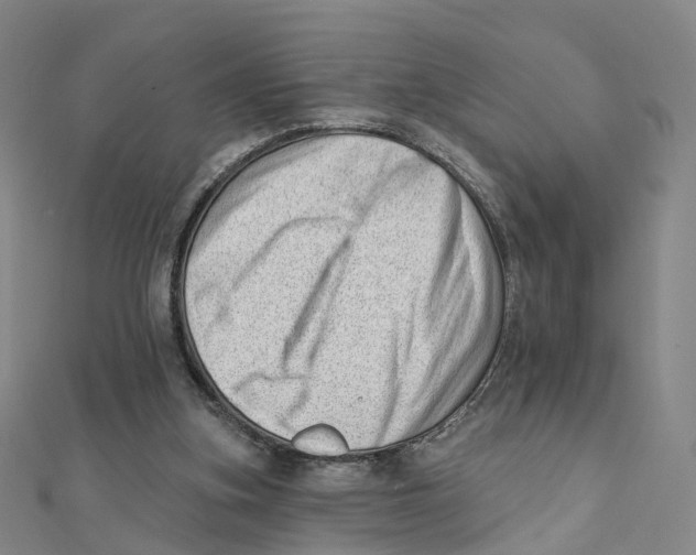 X0000112080155200909011051
