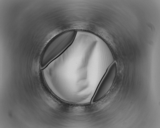 X0000112080156200909011051
