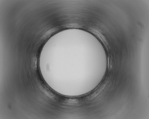 X0000112080157200909011051