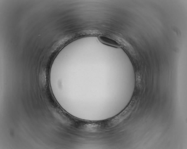 X0000112080158200909011051