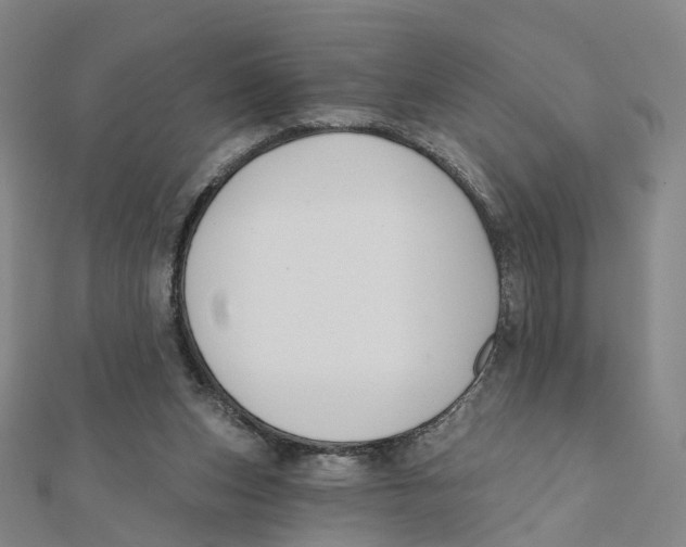 X0000112080159200909011051