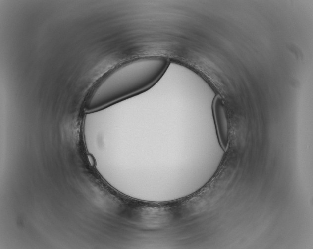 X0000112080160200909011051