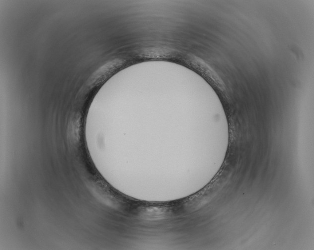 X0000112080163200909011051